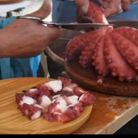 Pretty Progreso Lejlighed *